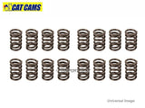 Cat Cams Uprated Valve Springs - Yaris T sport 1NZ-FE